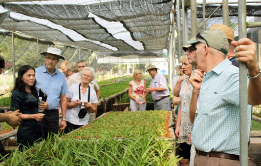 Bài 5: Gỡ nút thắt cho đầu tư nông nghiệp công nghệ cao