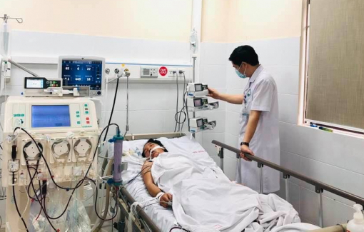 Người phụ nữ suy đa tạng do mò đốt trong khi làm nương rẫy