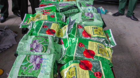 20kg ma túy giấu trong giỏ xoài được chuyển từ Đồng Tháp về TPHCM