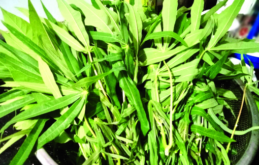 Món canh đậm tình người Đất Tổ