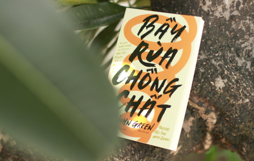 "Bầy rùa chồng chất": Mùi vị của tiếc nuối