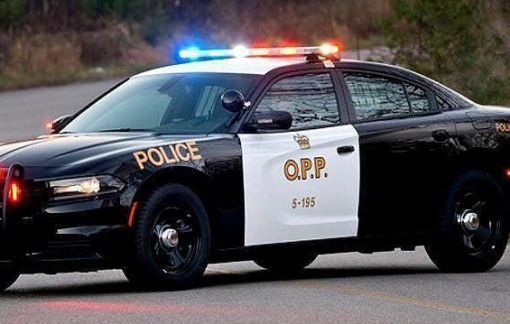 Canada bắt giữ 2 người Trung Quốc trồng và chế biến cần sa trị giá 5 triệu USD