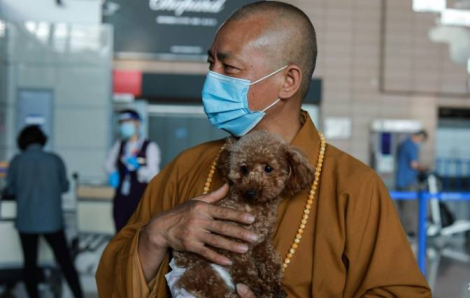 Trung Quốc: Nhà sư ở Thượng Hải cưu mang 8.000 chú chó hoang