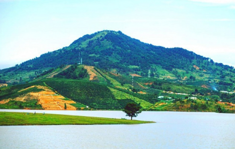 Lâm Đồng: Đề xuất cho doanh nghiệp bất động sản khảo sát dự án 165 ha trên rừng phòng hộ