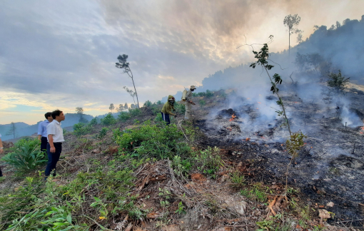 Cháy rừng thông xuyên đêm đến sáng ở đỉnh núi Phú Sơn