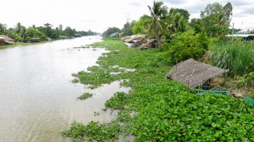 Nước nổi - nước ròng