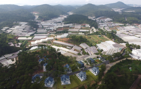 Doanh nghiệp muốn tài trợ Lâm Đồng lập quy hoạch dự án 120 ha có "dính" đất rừng tự nhiên