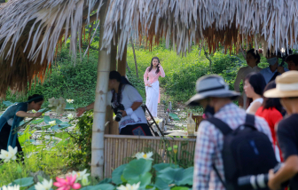 Mê mẩn ở nơi có hơn 150 loại sen quý