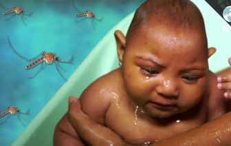 Ấn Độ báo động khi phát hiện trường hợp nhiễm virus Zika