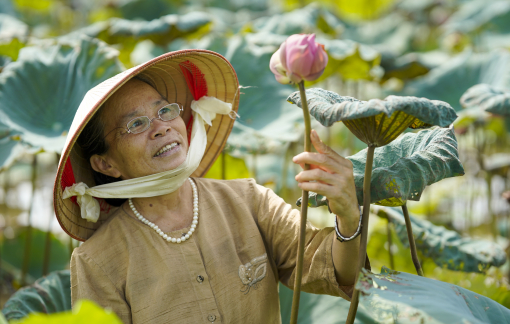 Người phụ nữ dệt khăn lụa từ sen bán hàng triệu đồng mỗi cái