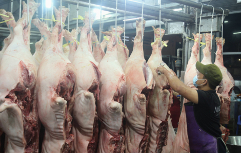 Đồng Nai xin mở điểm bán thịt heo "giải cứu" người chăn nuôi