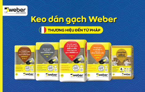 Saint-Gobain Việt Nam và Ricons công bố kết quả thực nghiệm độ bám dính giữa keo dán gạch và hồ dầu