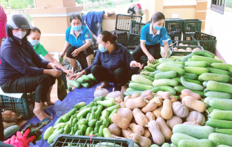 Những chuyến hàng vượt ngàn cây số