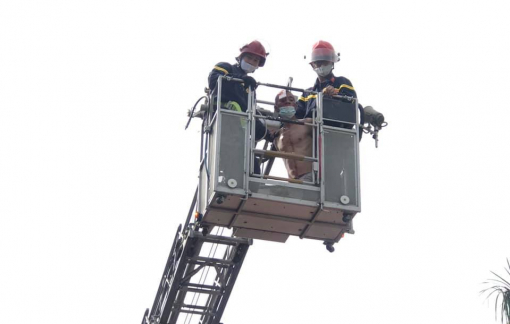 Dùng xe chữa cháy cứu bệnh nhân leo lên tầng 2 bệnh viện tự tử