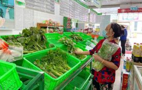 Tây Ninh lập bãi trung chuyển hàng hóa về TPHCM