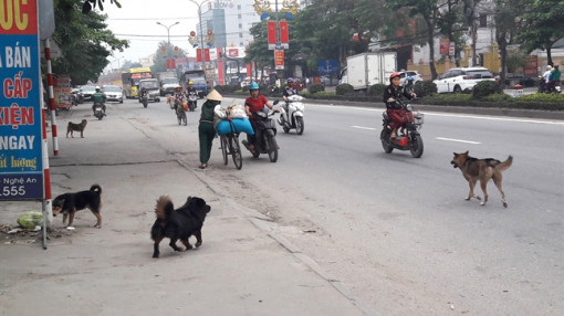 Bạn đọc viết: Thú vui riêng làm xấu cảnh quan chung