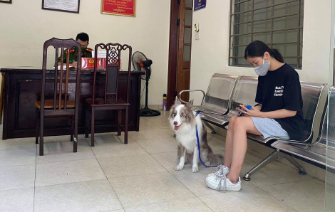 Dắt chó đi ra ngoài 2 phút, cô gái Hà Nội bị phạt 2 triệu đồng