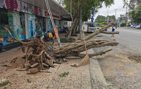 Cần Thơ: 3 căn nhà bị sập, hơn 40 căn tốc mái do mưa giông