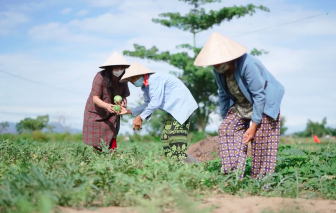 Ca sĩ Ánh Tuyết, bà con miền Trung gửi yêu thương vào miền Nam chống dịch