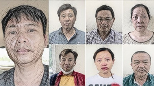Khởi tố Tổng giám đốc Công ty Công viên cây xanh Hà Nội