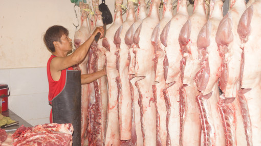 Vì sao các trạm trung chuyển hàng hóa vẫn chưa hoạt động?