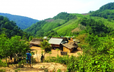 Những mái nhà trong rừng sâu