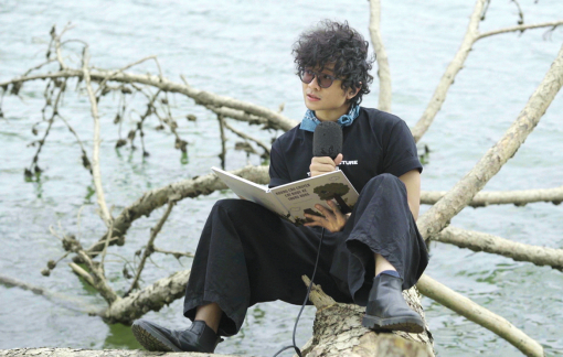 Tùng, "Tree Talks" và những chuyện chỉ được kể trong rừng