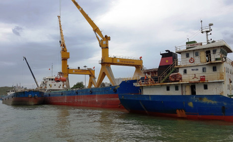 Bình Định: Ghi nhận 9 ca mắc COVID-19 là thuyền viên tàu hàng vào biển Quy Nhơn