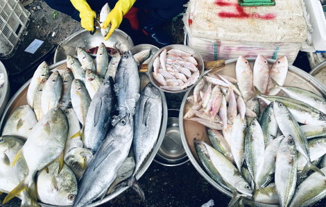 Mùa dịch, tôi vừa thành bà bán cá vừa thành giáo viên