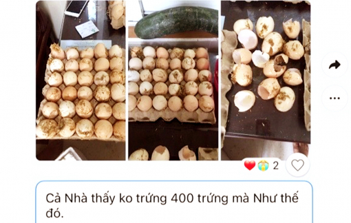 Nở rộ cộng tác viên bán thực phẩm online