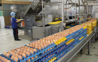 Lương thực, thực phẩm miền Nam đang dư thừa quá nhiều