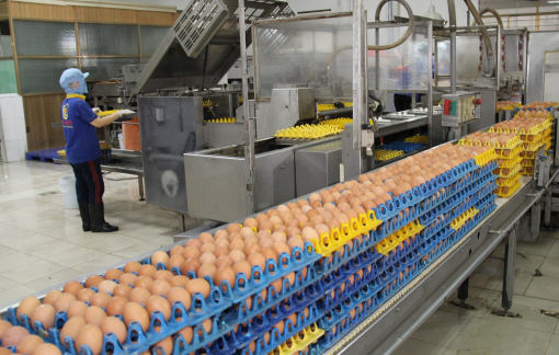 Lương thực, thực phẩm miền Nam đang dư thừa quá nhiều