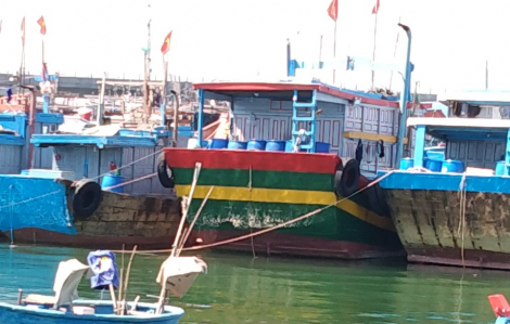 Bình Định tạm dừng 1 chợ, cảng cá Sa Huỳnh được "nới lỏng" phong tỏa