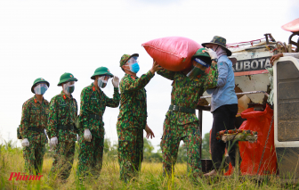 Người dân mừng rơn khi bộ đội hỗ trợ thu hoạch vụ mùa