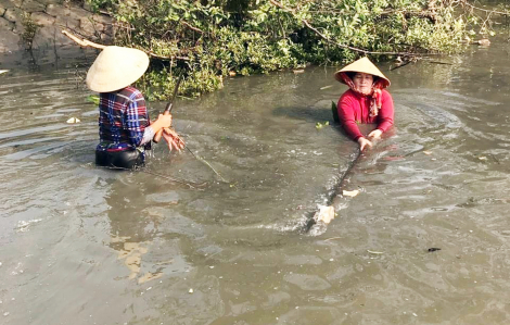 Những phụ nữ "lội nước đi trước" ở Nhà Bè