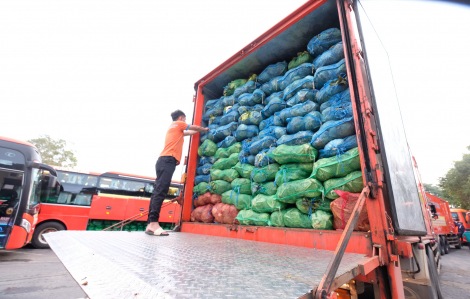 1.000 tấn nông sản sẽ được chuyển từ Đà Lạt về TPHCM trong tuần này