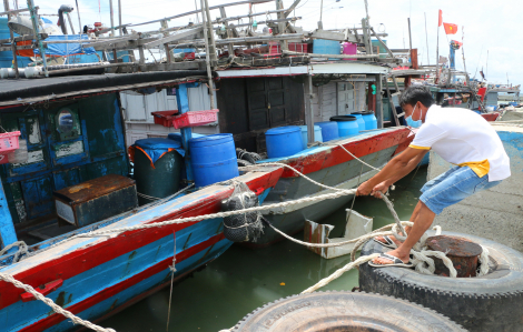 Miền Trung sẵn sàng lên phương án di dân đến nơi trú bão an toàn