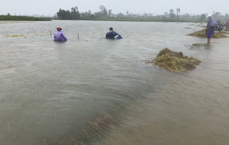 Quảng Ngãi: Đi cắm câu, thả lưới bắt cá giữa mưa to, một thanh niên tử vong