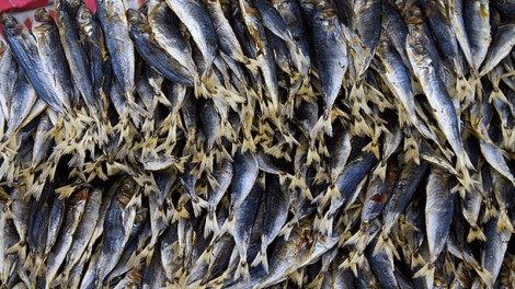 Bán 5 ký cá khô qua online, bị lừa mất sạch 150 triệu đồng