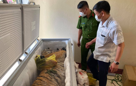 Lại phát hiện hổ trong tủ lạnh nhà dân ở Hà Tĩnh