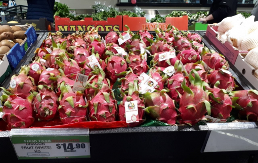 Thanh long Việt Nam được đánh giá "5 sao" tại  Australia