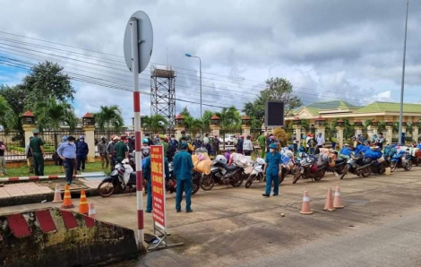 120 công nhân cạo mủ cao su đi xe máy từ Bình Phước về Nghệ An