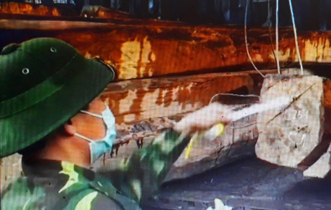 7 xe container chở gỗ lậu, đá phấn quý trị giá hàng chục tỷ đồng từ Lào về Việt Nam