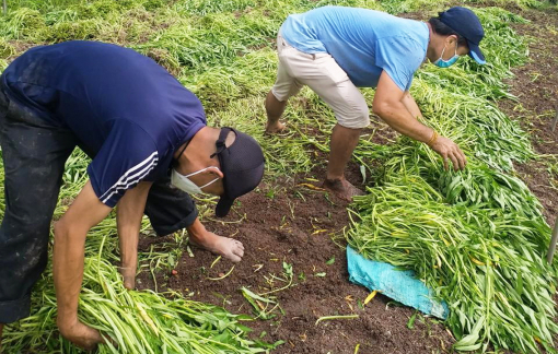 Những người không giàu tiền nhưng giàu lòng nhân ái và nhiệt tình