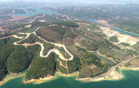 257ha rừng đã “bốc hơi” trong siêu dự án Sài Gòn - Đại Ninh