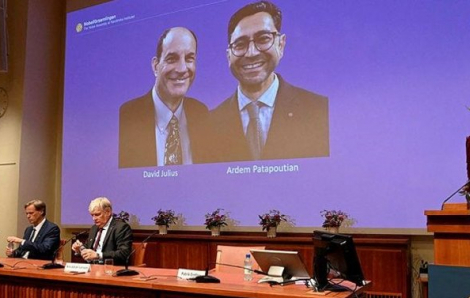 Giải Nobel Y sinh 2021 vinh danh 2 nhà khoa học người Mỹ