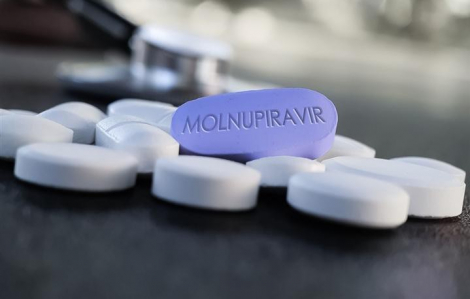 Lưu ý gì khi dùng thuốc Molnupiravir trong phác đồ điều trị của Bộ Y tế?