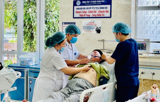 Ong làm tổ trên mái nhà, 5 người trong gia đình phải nhập viện cấp cứu