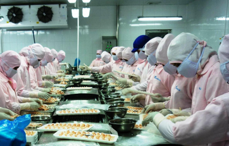 Ban quản lý các khu công nghiệp tỉnh Sóc Trăng khuyến cáo dừng tuyển dụng lao động để chống dịch