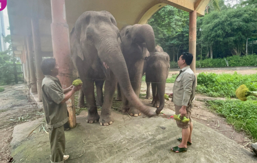 Siêu thị Nhật tặng thực phẩm cho thú nuôi trong Thảo Cầm Viên Sài Gòn